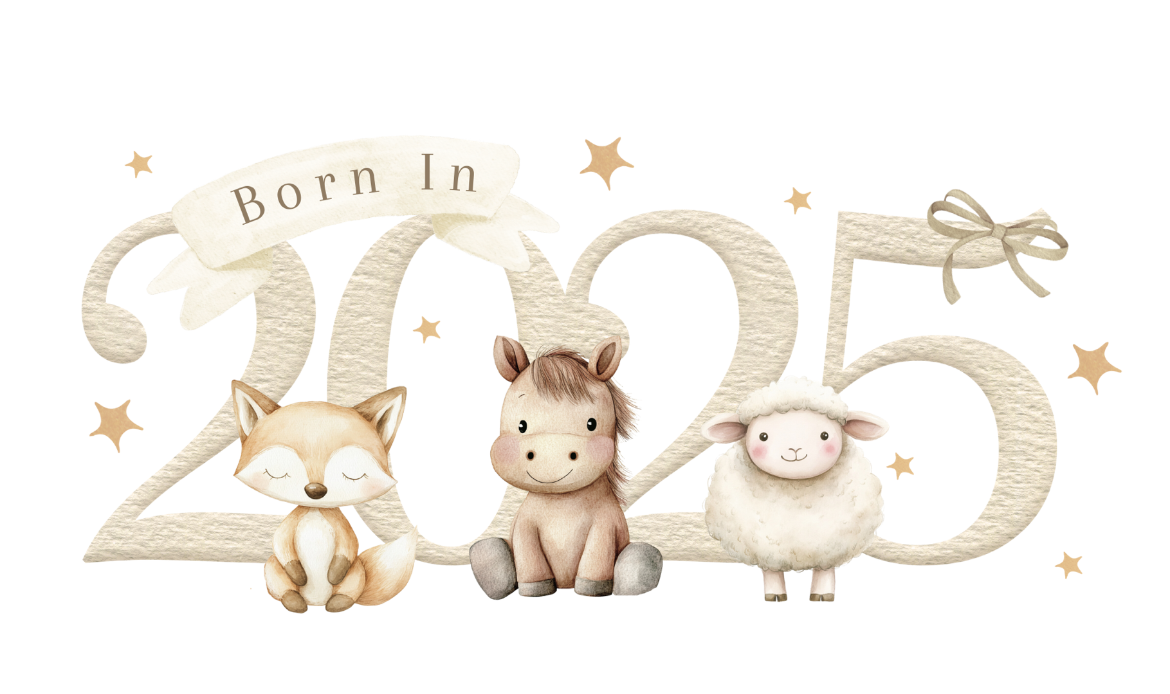 Born in 2025 baby bundle