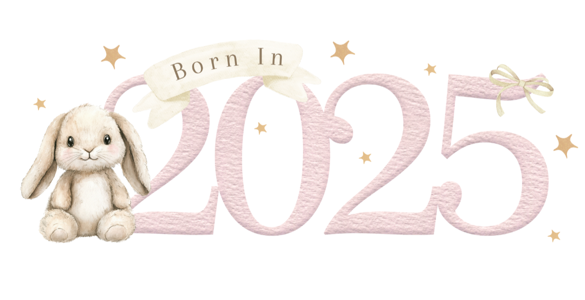 Born in 2025 baby bundle