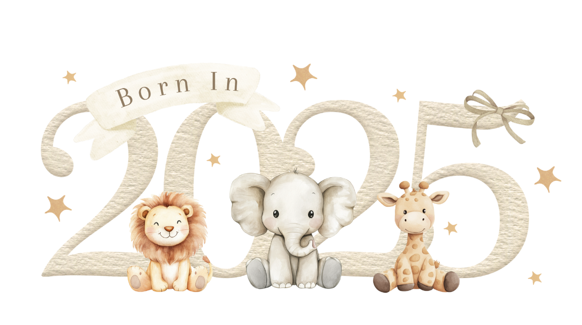 Born in 2025 baby bundle