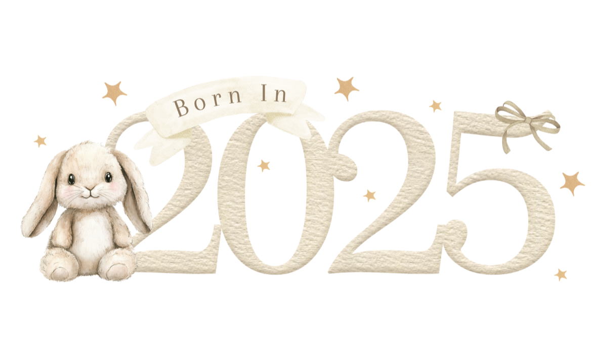 Born in 2025 baby bundle