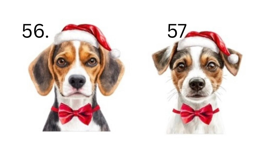 Personalised Christmas Santa Sack for Dog,