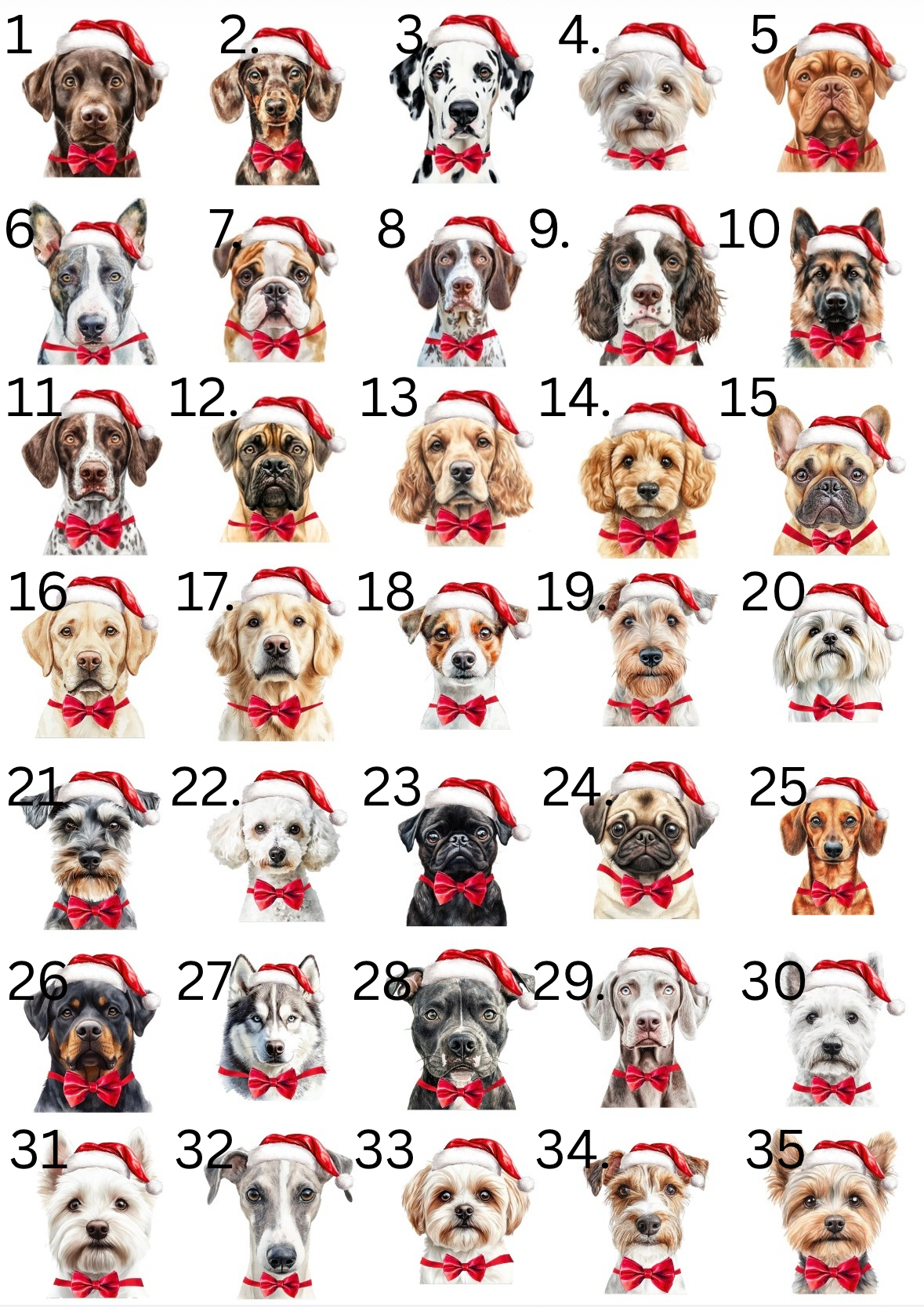 Personalised Christmas Santa Sack for Dog,