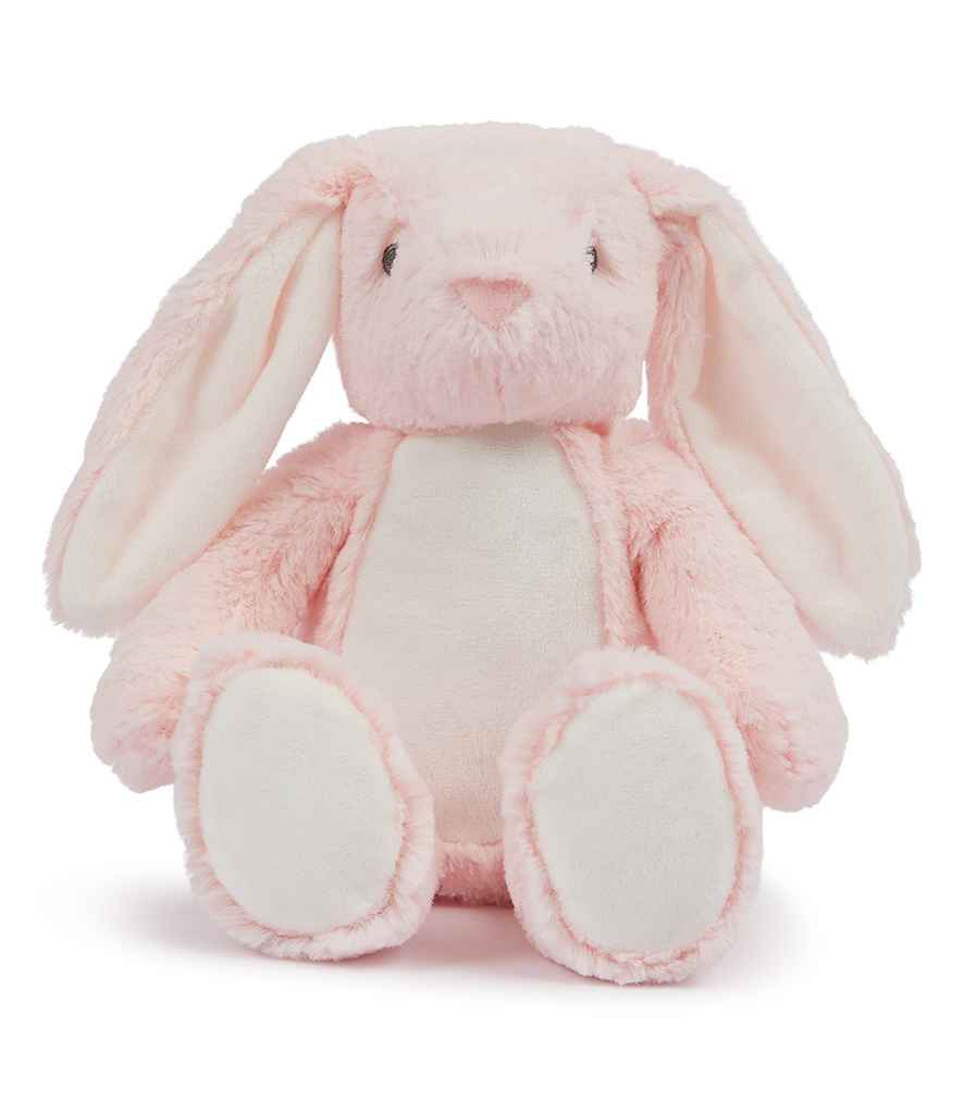 Welcome to the world keepsake bunny