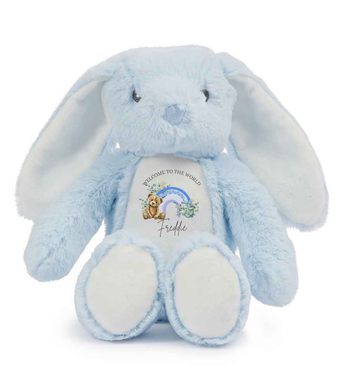 Welcome to the world keepsake bunny