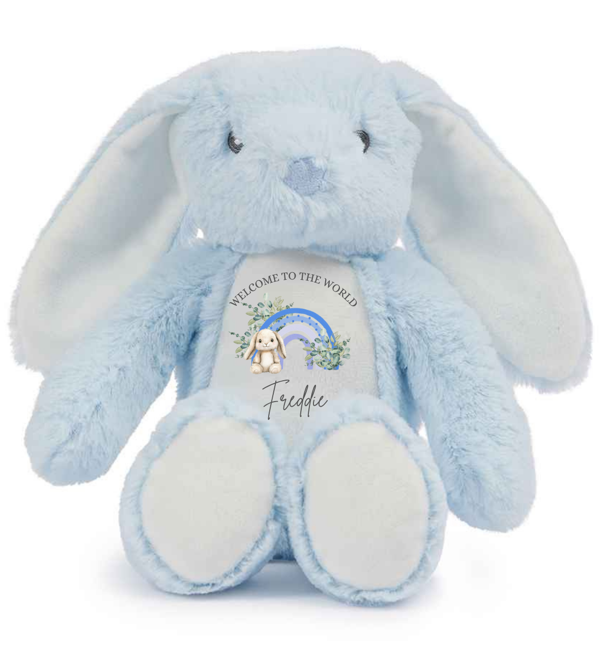 Welcome to the world keepsake bunny